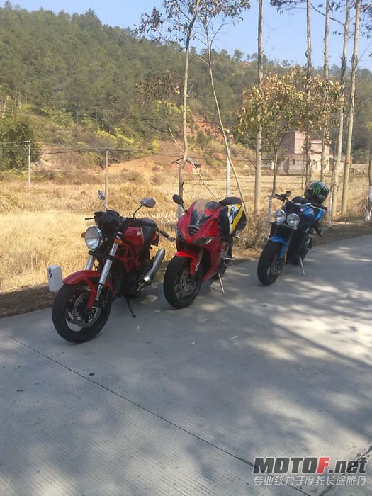 nEO_IMG_20110207064.jpg