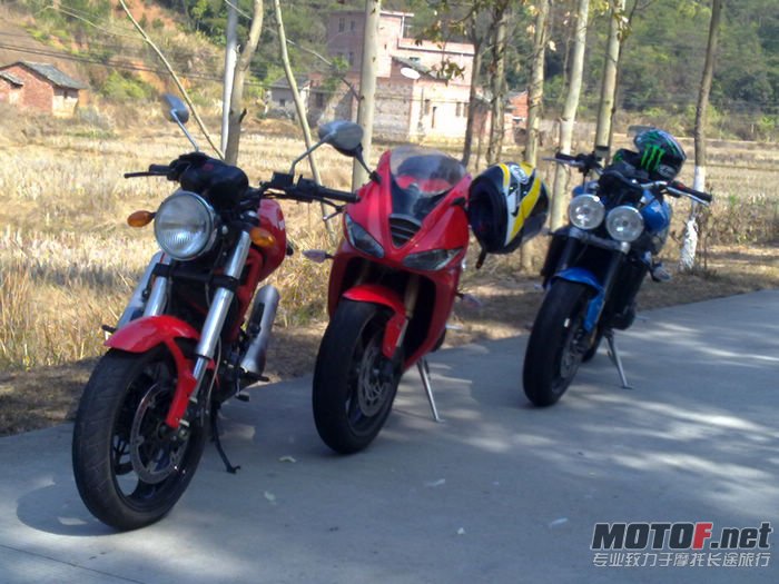 nEO_IMG_20110207322.jpg