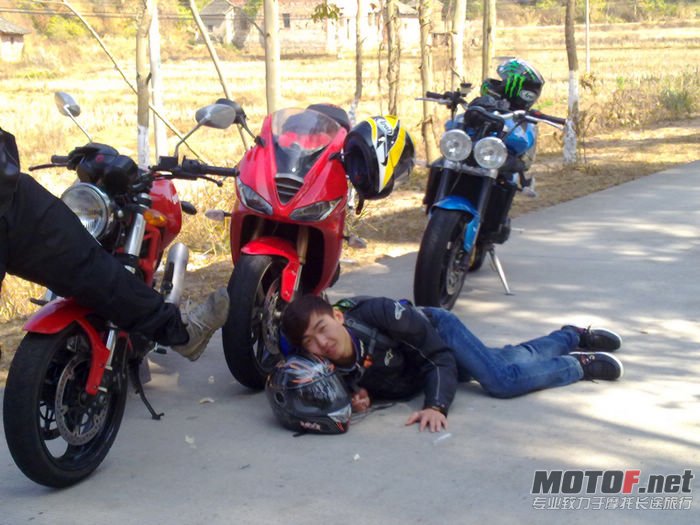 nEO_IMG_20110207323.jpg