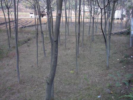 100_0075.JPG