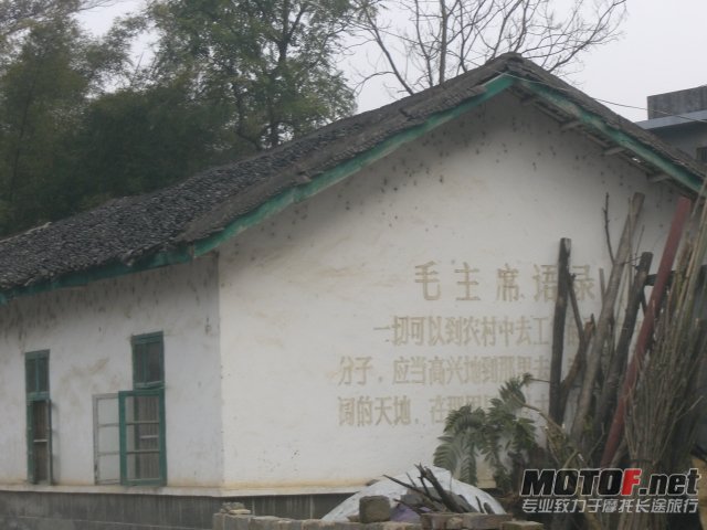 CIMG6774.JPG