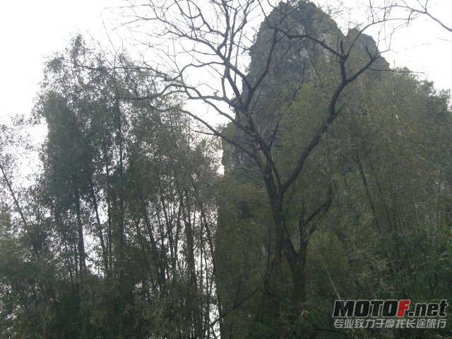 CIMG6775.JPG