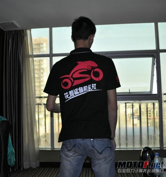 鲨鱼.jpg