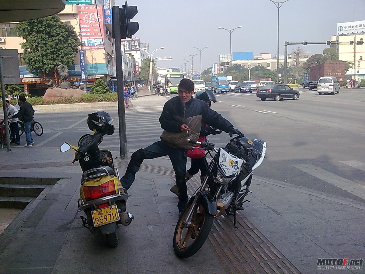 Calf115.jpg