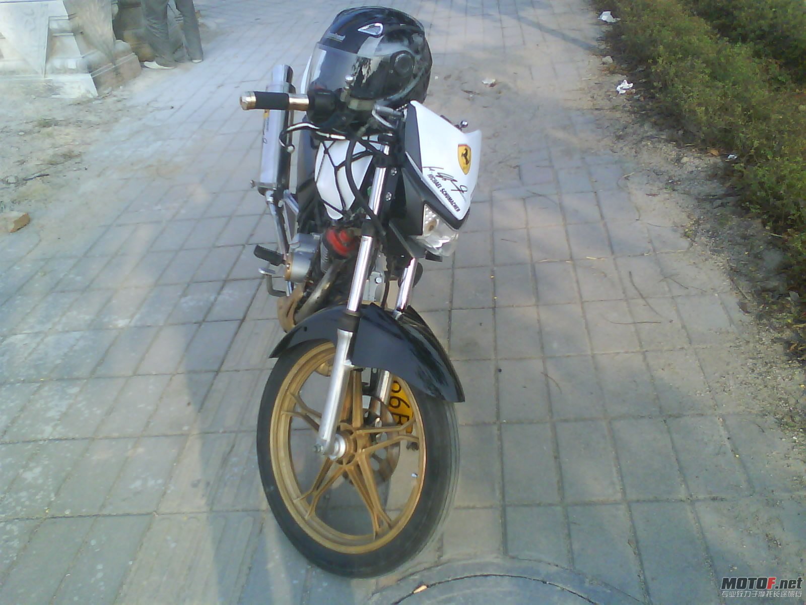 DSC08979.JPG