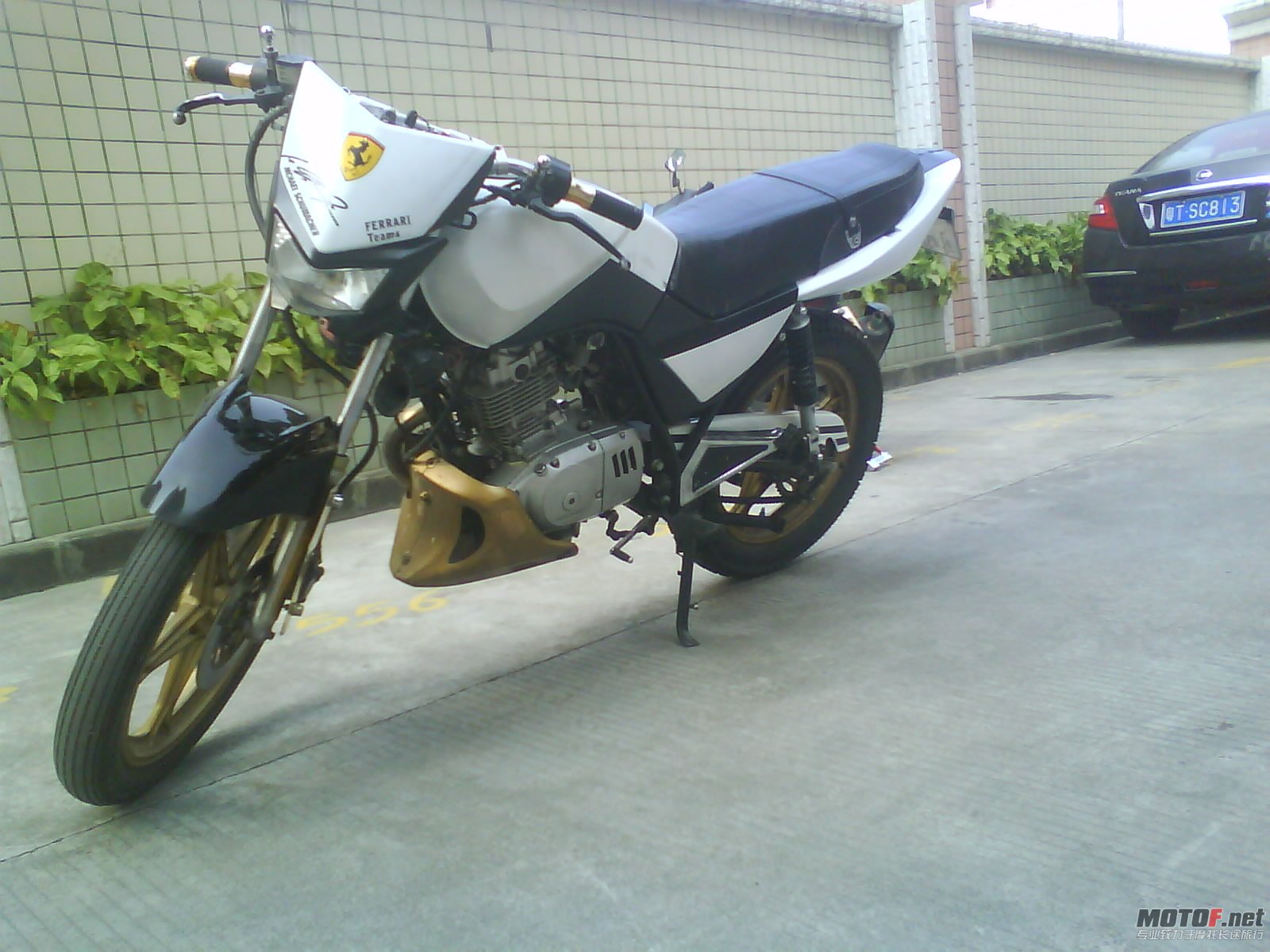DSC08981.JPG