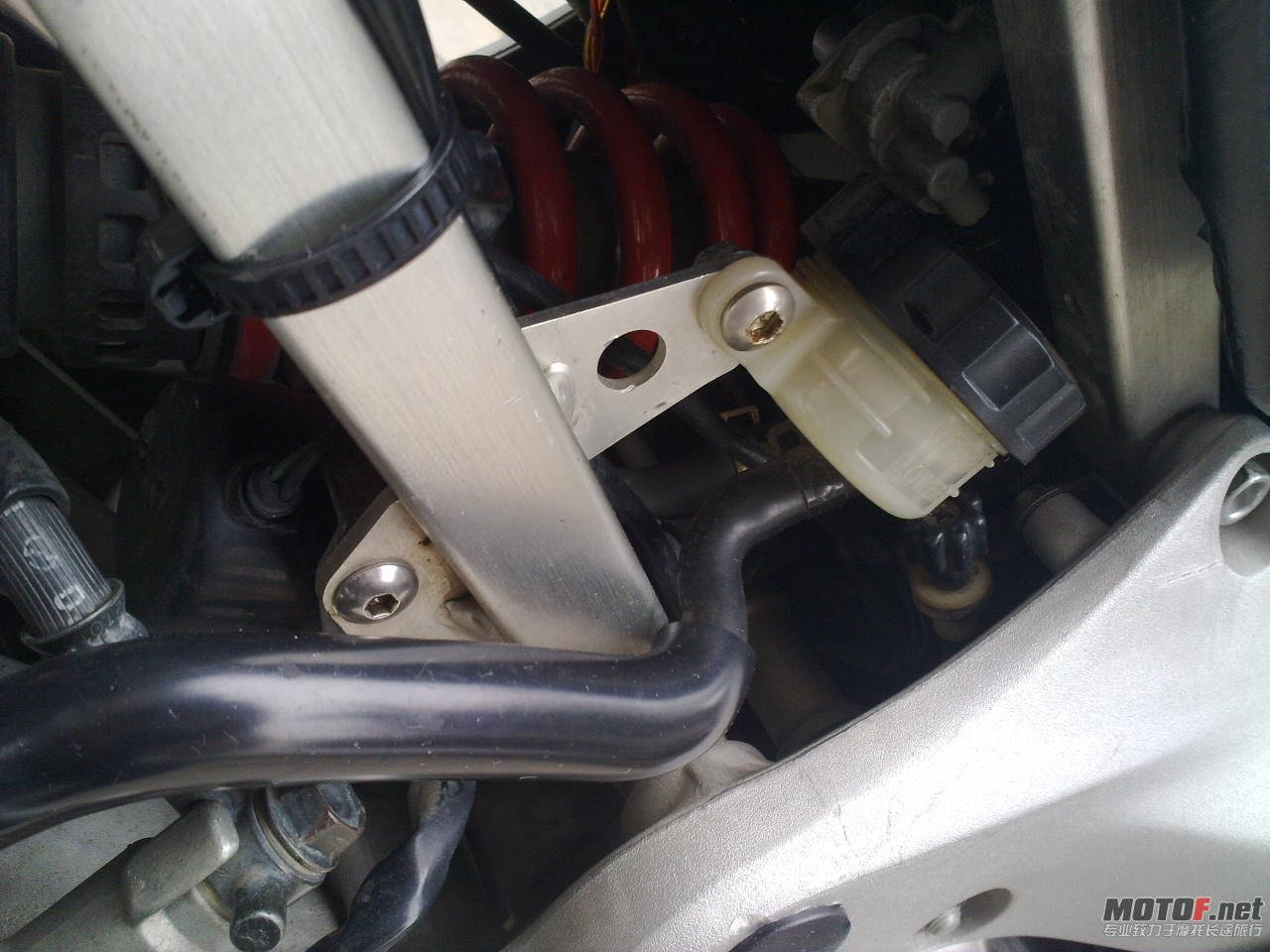 20110221194.jpg