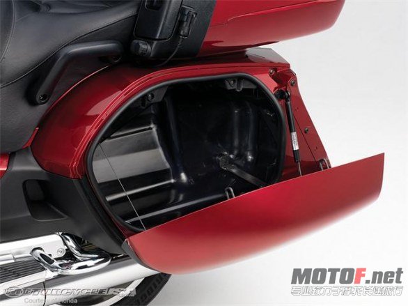 12_GoldWing_Det12.jpg