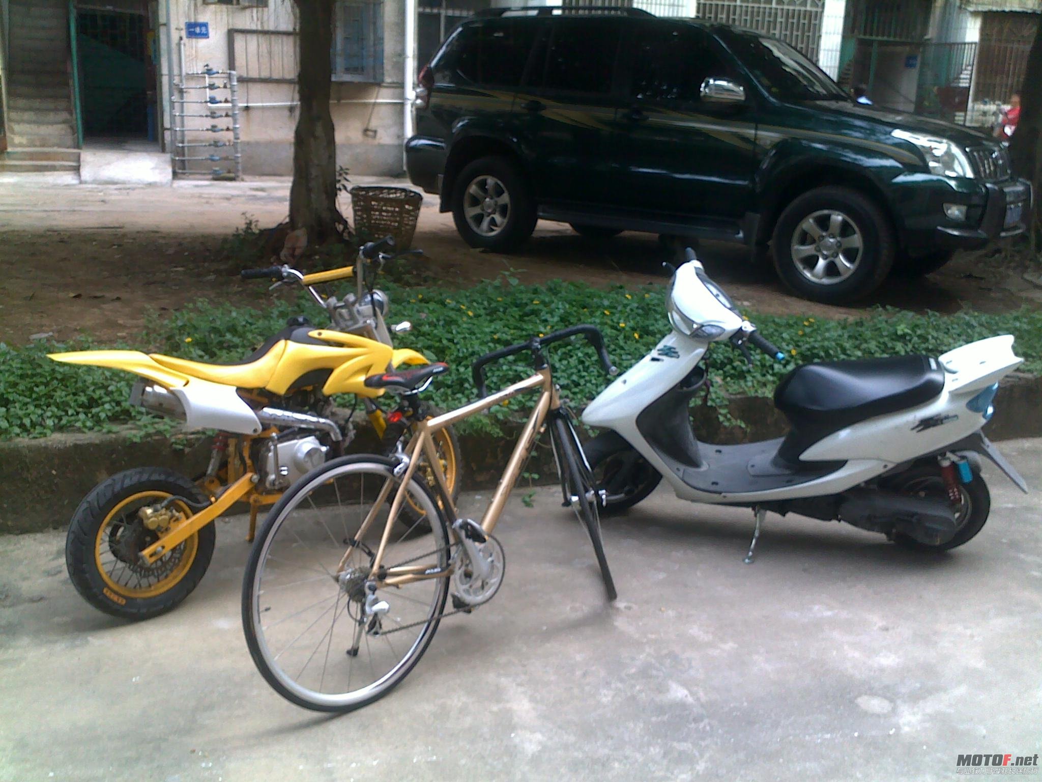20100828261.jpg