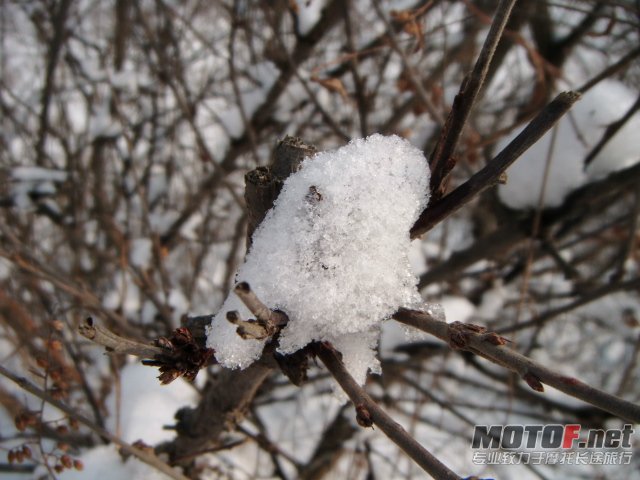 照片 029.jpg