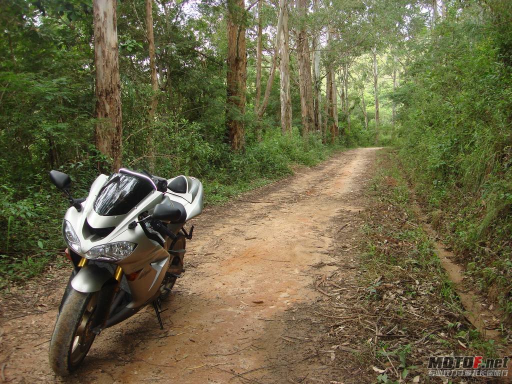 2010-04-04-bikepics-potd.jpg
