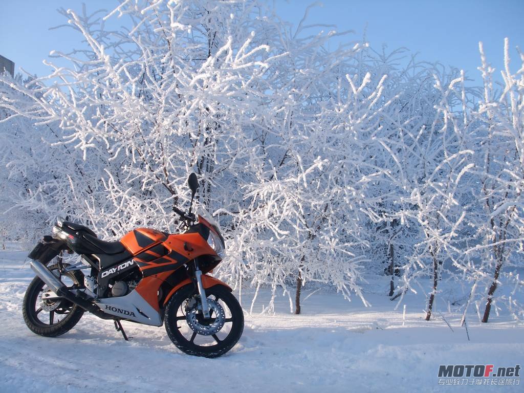 2010-01-16-bikepics-potd.jpg