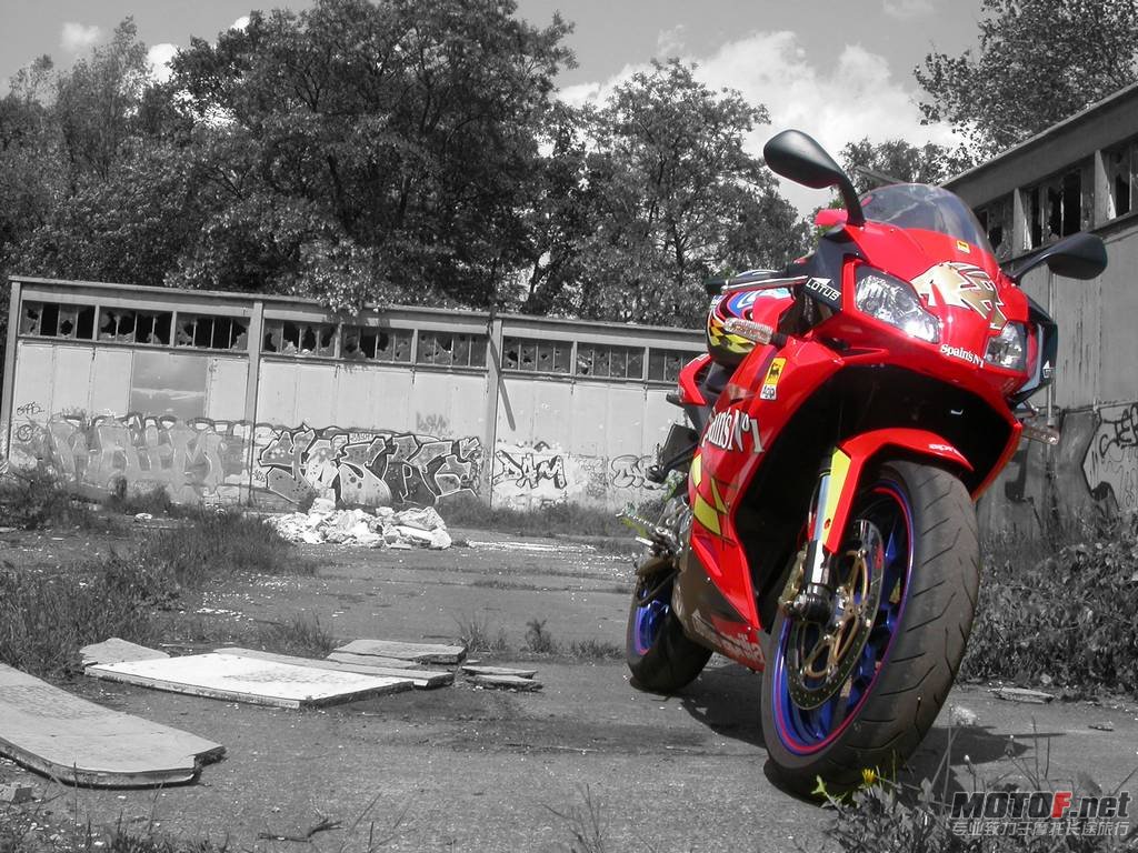 2010-01-17-bikepics-potd.jpg