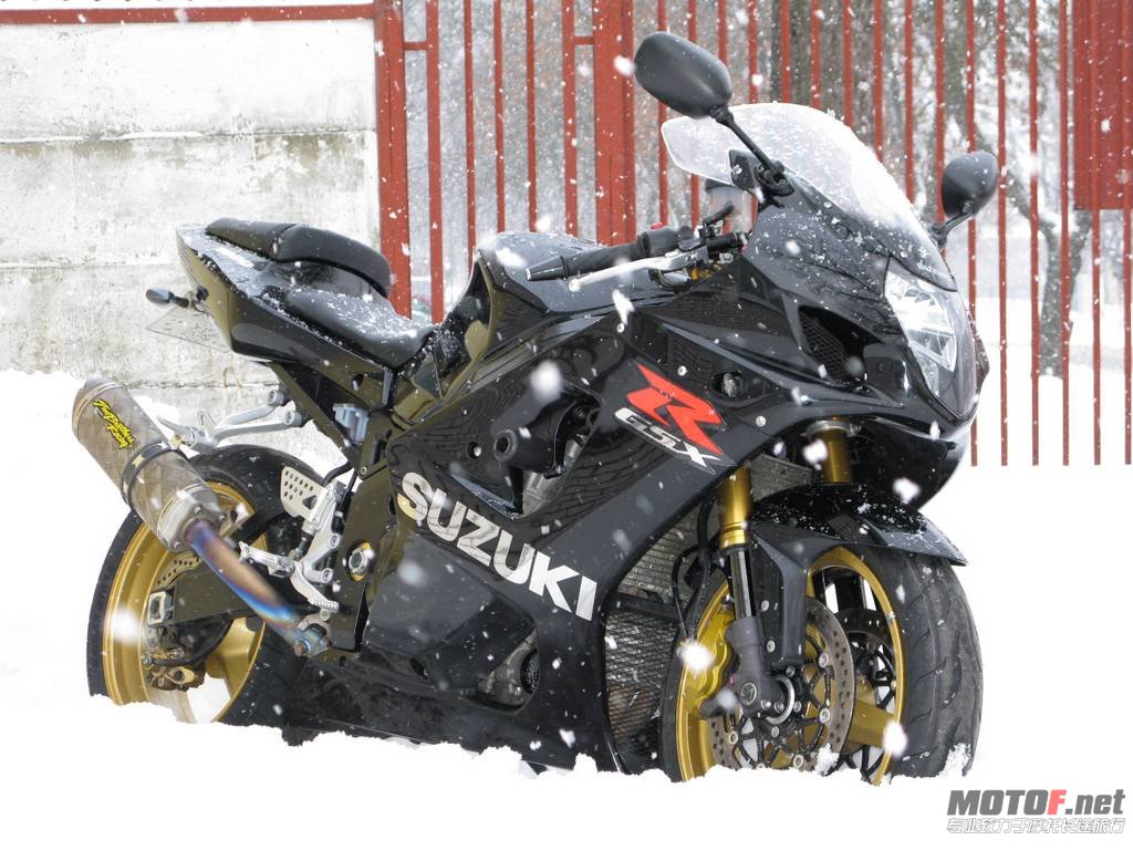 2010-01-29-bikepics-potd.jpg