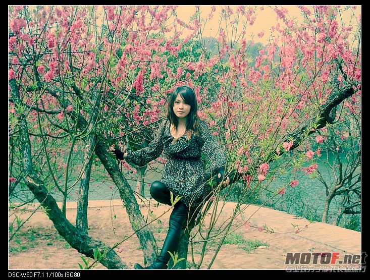 nEO_IMG_DSC02282.jpg