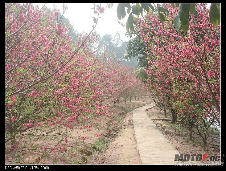 nEO_IMG_DSC02291.jpg