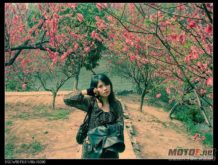 nEO_IMG_DSC02293.jpg