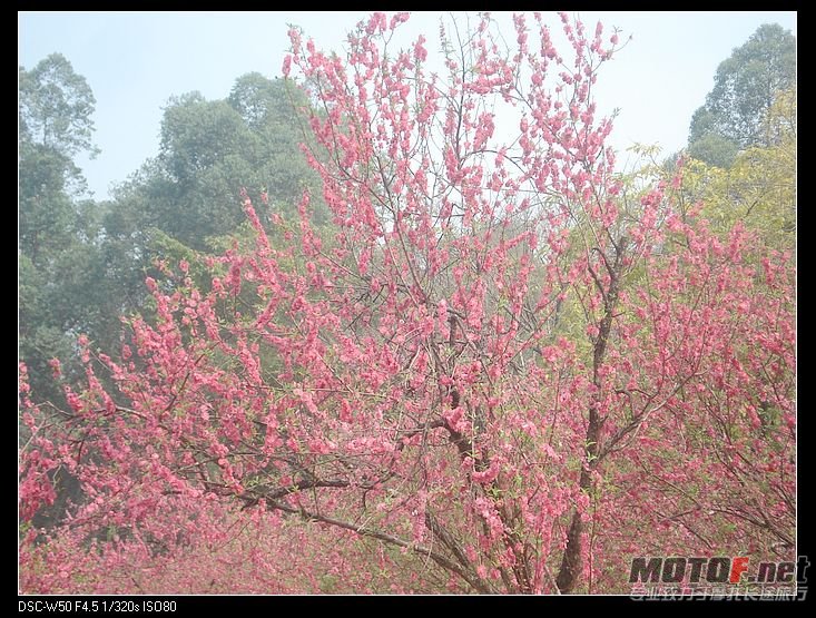 nEO_IMG_DSC02294.jpg
