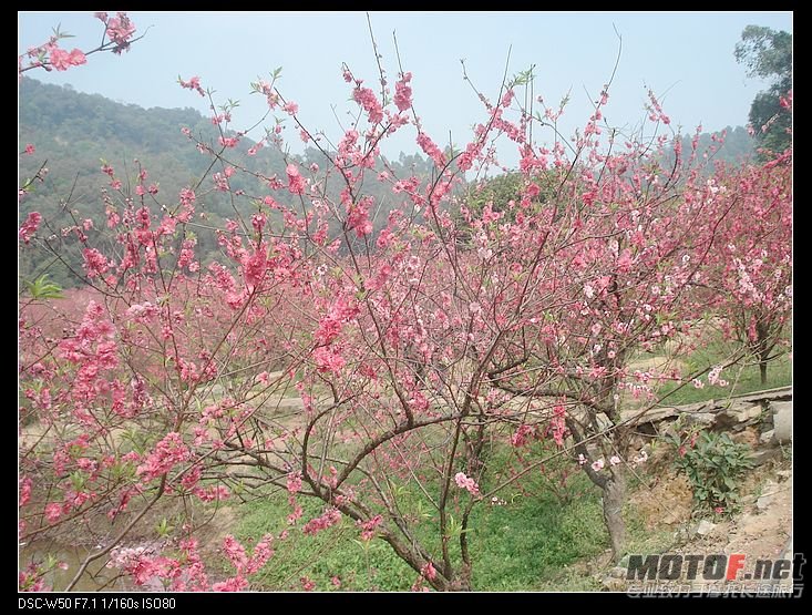 nEO_IMG_DSC02295.jpg