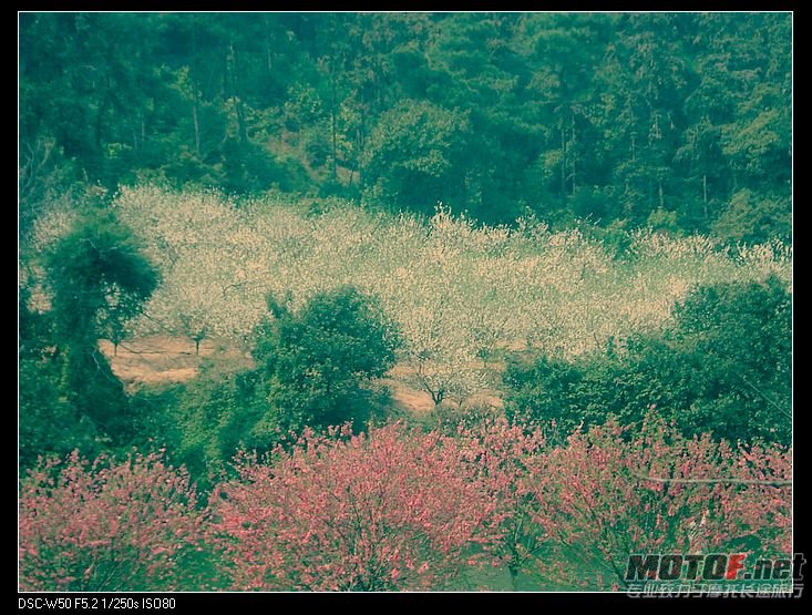 nEO_IMG_DSC02298.jpg