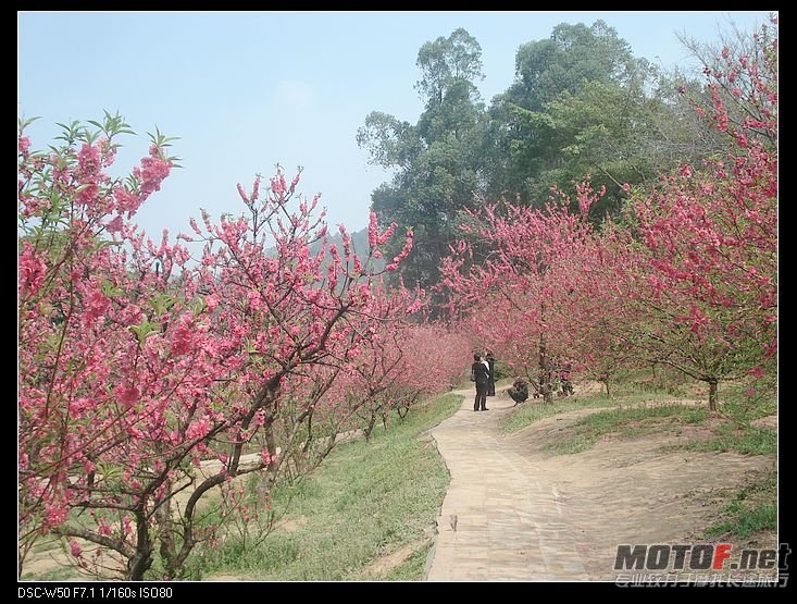 nEO_IMG_DSC02299.jpg