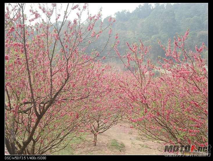 nEO_IMG_DSC02311.jpg