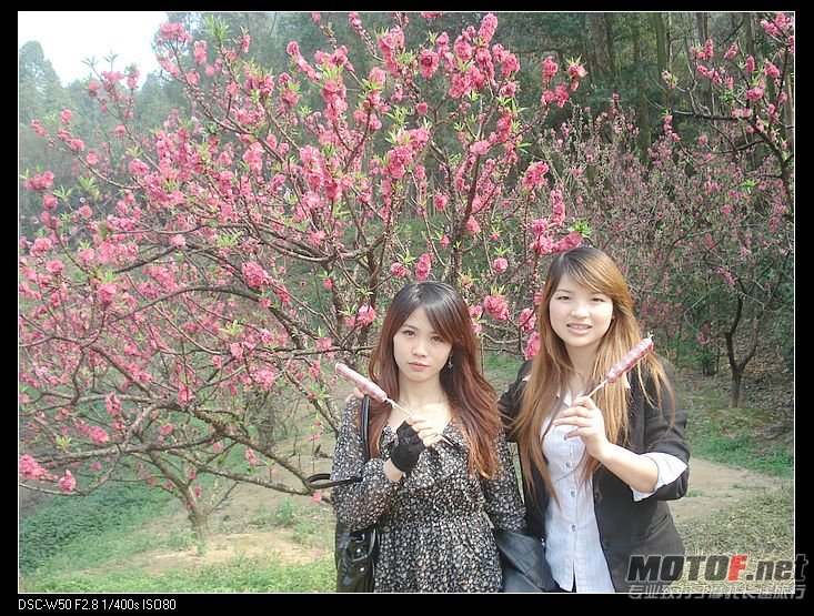 nEO_IMG_DSC02312.jpg