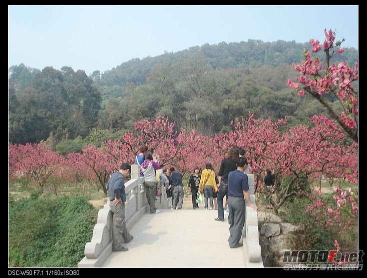 nEO_IMG_DSC02316.jpg