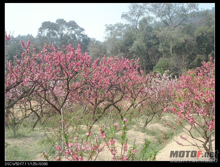 nEO_IMG_DSC02321.jpg