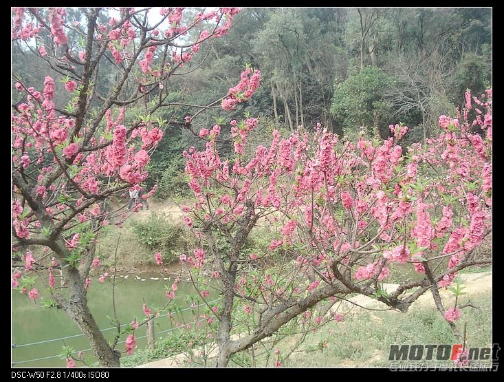 nEO_IMG_DSC02328.jpg