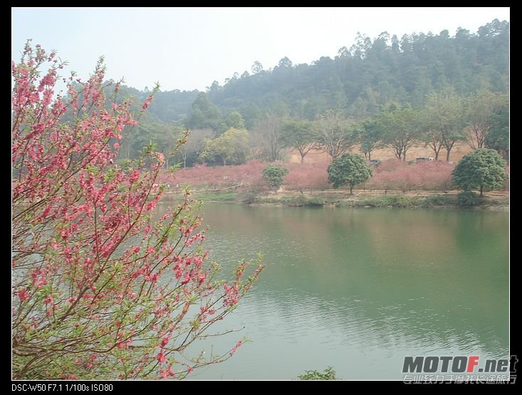 nEO_IMG_DSC02373.jpg