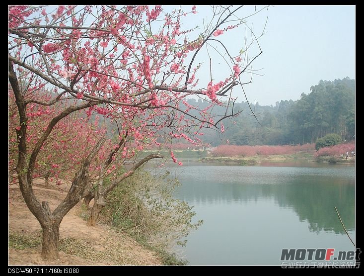nEO_IMG_DSC02413.jpg