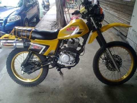 大白菜250GY