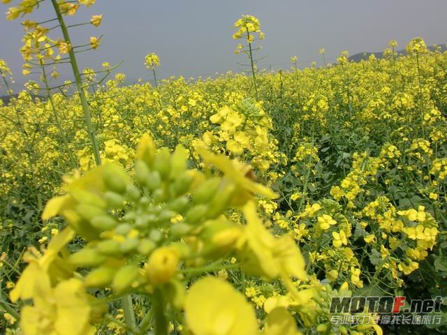 调整大小 CIMG5130.JPG
