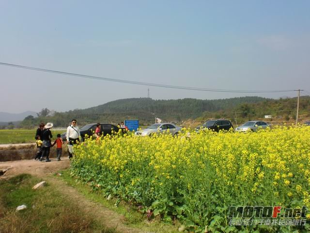 调整大小 CIMG5143.JPG