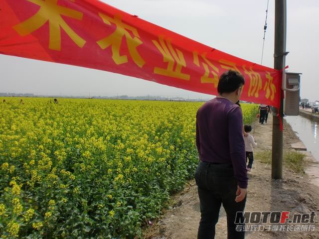 调整大小 CIMG5145.JPG