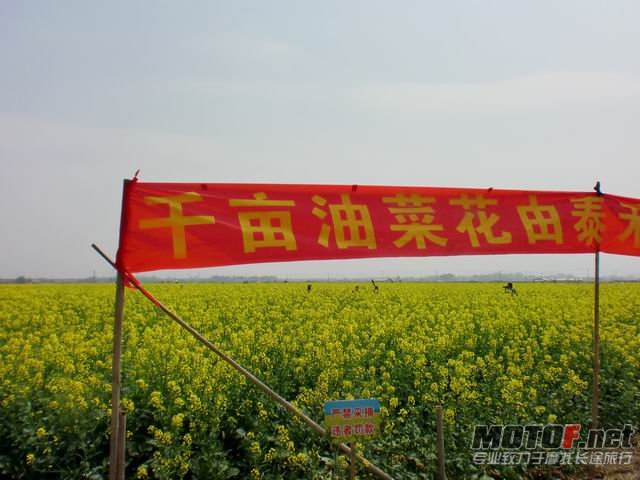 调整大小 CIMG5146.JPG