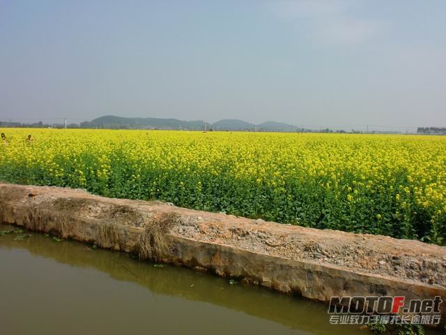 调整大小 CIMG5150.JPG