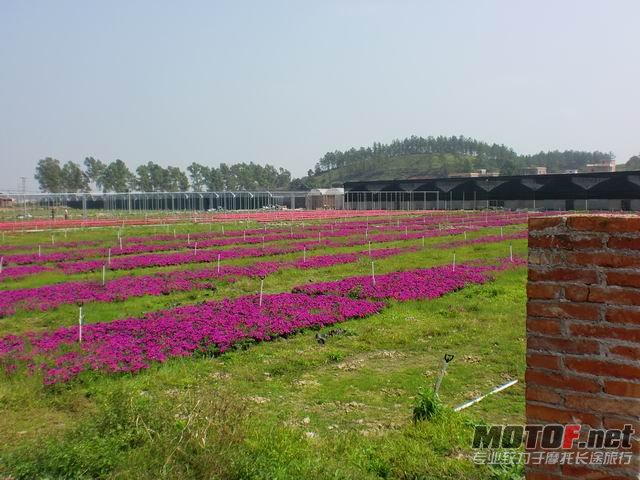 调整大小 CIMG5158.JPG