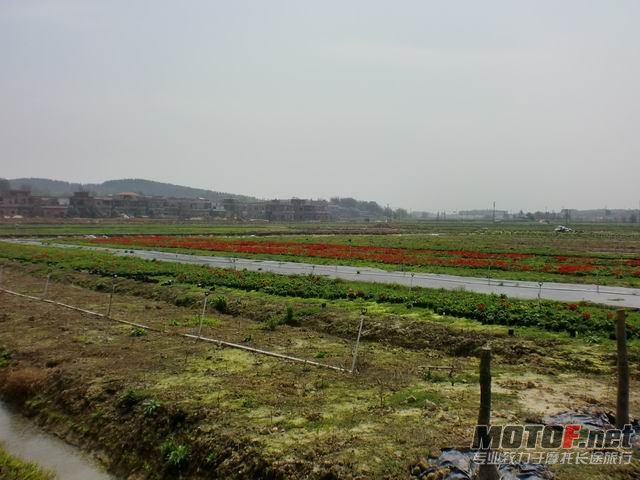 调整大小 CIMG5159.JPG