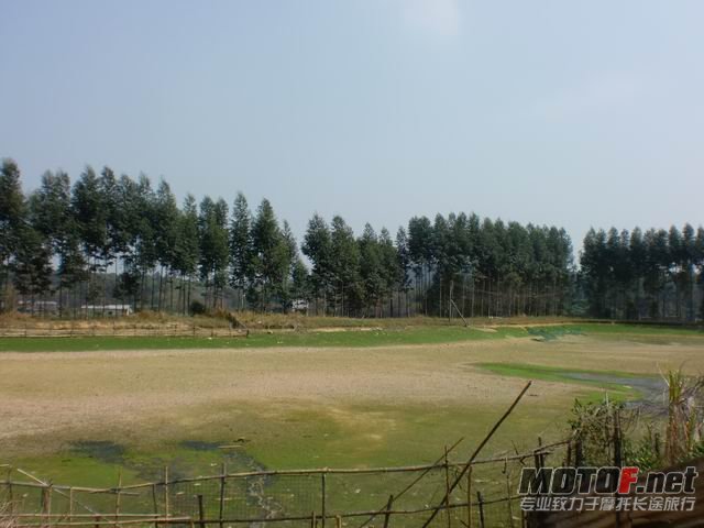 调整大小 CIMG5160.JPG