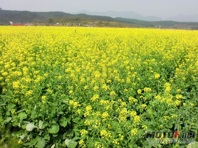 调整大小 CIMG5101.JPG