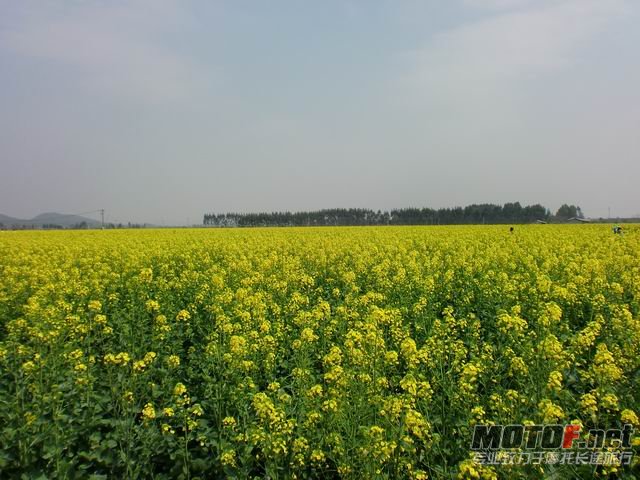 调整大小 CIMG5112.JPG
