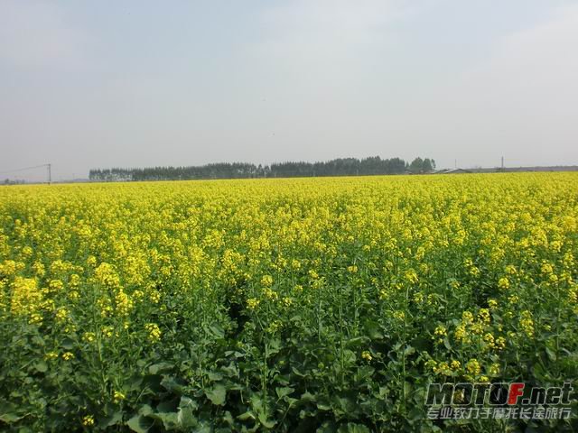 调整大小 CIMG5117.JPG
