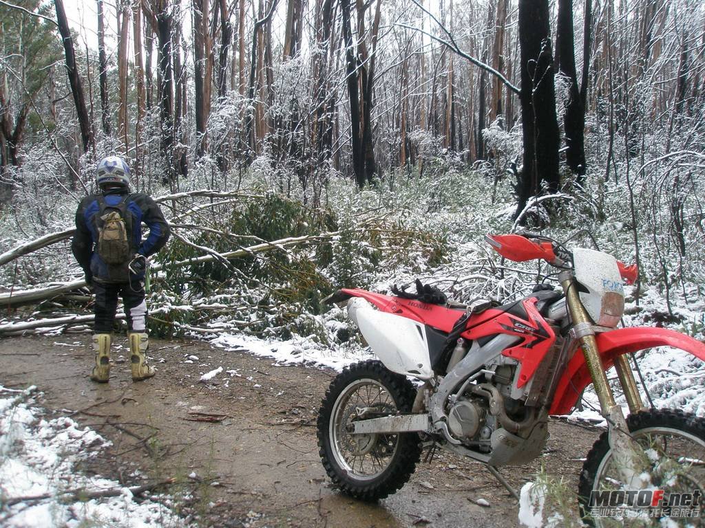 2010-06-27-bikepics-potd.jpg