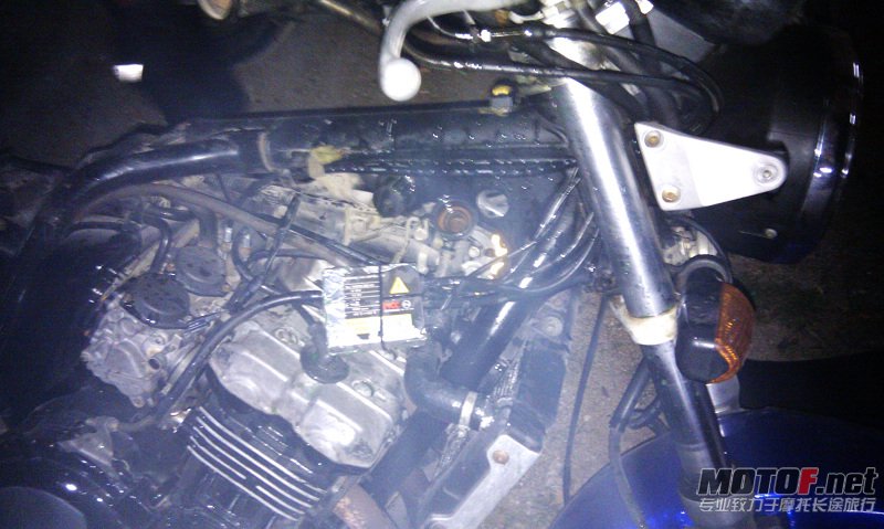 IMAG0262.jpg