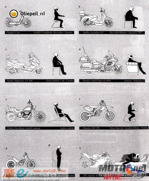 摩托车师范图.jpg