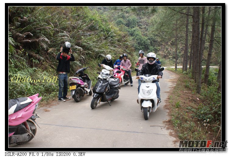 DSC08634.jpg