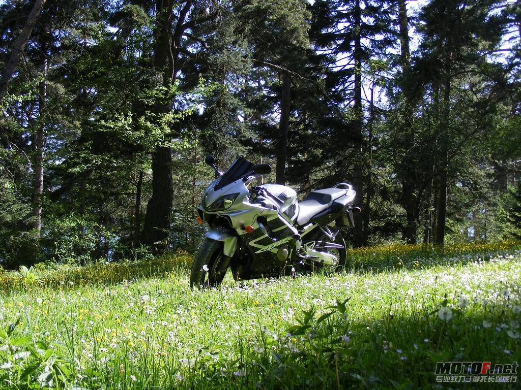2010-08-19-bikepics-potd.jpg