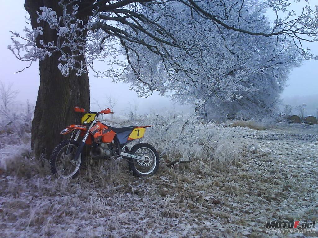 2010-09-15-bikepics-potd.jpg